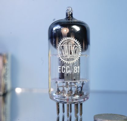 ECC81 Valvo,  D-getter, 1955, rounded plates (V35)