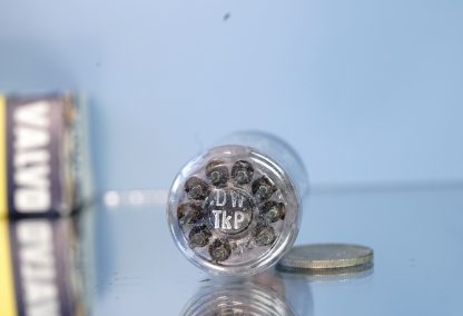 ECC81 Valvo,  D-getter, 1955, rounded plates (V35) - Afbeelding 6